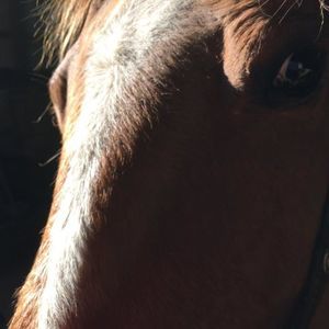 Meet your Posher, Nan